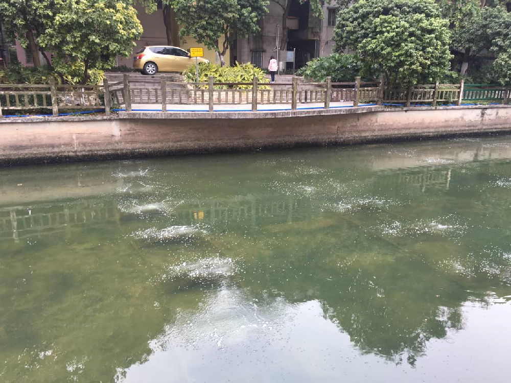 广州越秀区驷马涌